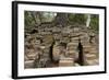 Tree Growing on Ruins of Ancient Spean Thmor Bridge, Siem Reap-David Wall-Framed Photographic Print