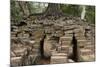 Tree Growing on Ruins of Ancient Spean Thmor Bridge, Siem Reap-David Wall-Mounted Photographic Print