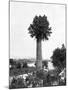Tree Growing Out Old Sugar Estate Chimney, Jamaica, C1905-Adolphe & Son Duperly-Mounted Giclee Print