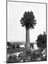 Tree Growing Out Old Sugar Estate Chimney, Jamaica, C1905-Adolphe & Son Duperly-Mounted Giclee Print