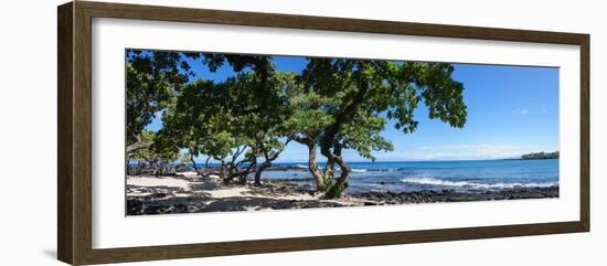 Tree Heliotrope on Beach, Kukio Bay, Kailua Kona, Hawaii, USA-null-Framed Photographic Print