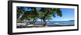 Tree Heliotrope on Beach, Kukio Bay, Kailua Kona, Hawaii, USA-null-Framed Photographic Print