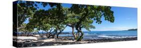 Tree Heliotrope on Beach, Kukio Bay, Kailua Kona, Hawaii, USA-null-Stretched Canvas