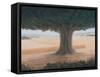 Tree, Holwell, 2012-Lincoln Seligman-Framed Stretched Canvas