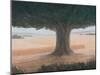 Tree, Holwell, 2012-Lincoln Seligman-Mounted Giclee Print