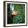 Tree Hugger-Michael Prince-Framed Photographic Print