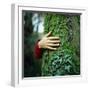 Tree Hugger-Michael Prince-Framed Photographic Print