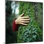 Tree Hugger-Michael Prince-Mounted Photographic Print