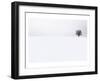 Tree in a Field in Winter-null-Framed Art Print