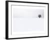 Tree in a Field in Winter-null-Framed Art Print