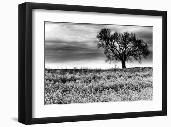 Tree in a Field, Severville, Tennessee-null-Framed Art Print