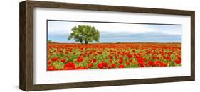 Tree in a poppy field-null-Framed Giclee Print