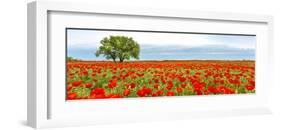 Tree in a poppy field-null-Framed Giclee Print