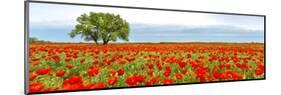 Tree in a poppy field-null-Mounted Giclee Print