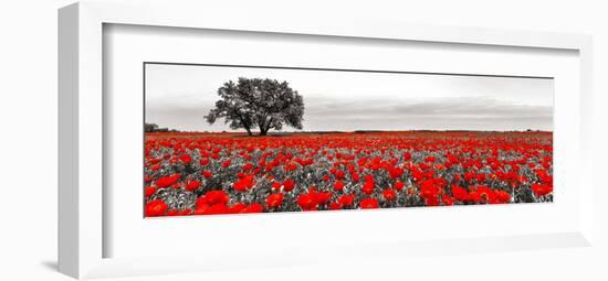 Tree in a poppy field-null-Framed Giclee Print