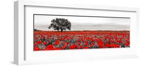 Tree in a poppy field-null-Framed Giclee Print