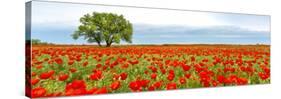 Tree in a poppy field-null-Stretched Canvas