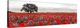 Tree in a poppy field-null-Stretched Canvas