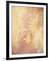 Tree in Bloom-Myan Soffia-Framed Photographic Print