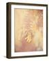 Tree in Bloom-Myan Soffia-Framed Premium Photographic Print