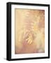 Tree in Bloom-Myan Soffia-Framed Premium Photographic Print