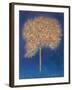 Tree in Blossom, 1997-Peter Davidson-Framed Giclee Print