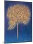 Tree in Blossom, 1997-Peter Davidson-Mounted Giclee Print