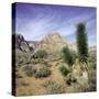 Tree in desert setting with rock formations in the background-null-Stretched Canvas