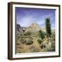 Tree in desert setting with rock formations in the background-null-Framed Photographic Print