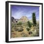 Tree in desert setting with rock formations in the background-null-Framed Photographic Print