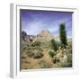 Tree in desert setting with rock formations in the background-null-Framed Photographic Print