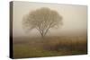 Tree in Field-David Winston-Stretched Canvas