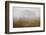 Tree in Fog-David Lorenz Winston-Framed Art Print