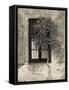 Tree in Front of the Window of a House, Calle San Jose, Colonia Del Sacramento, Uruguay-null-Framed Stretched Canvas