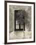 Tree in Front of the Window of a House, Calle San Jose, Colonia Del Sacramento, Uruguay-null-Framed Photographic Print