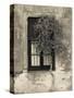 Tree in Front of the Window of a House, Calle San Jose, Colonia Del Sacramento, Uruguay-null-Stretched Canvas