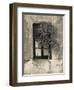 Tree in Front of the Window of a House, Calle San Jose, Colonia Del Sacramento, Uruguay-null-Framed Photographic Print