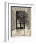 Tree in Front of the Window of a House, Calle San Jose, Colonia Del Sacramento, Uruguay-null-Framed Photographic Print