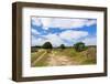 Tree in Heather Landscape with Purple Flowers-Ivonnewierink-Framed Photographic Print