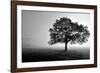 Tree in Mist-null-Framed Photographic Print