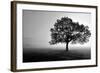 Tree in Mist-null-Framed Photographic Print