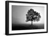 Tree in Mist-PhotoINC Studio-Framed Art Print