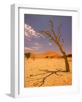 Tree in Namib Desert, Namibia-Walter Bibikow-Framed Photographic Print