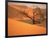 Tree in Namibia Desert, Namibia, Africa-Walter Bibikow-Framed Photographic Print