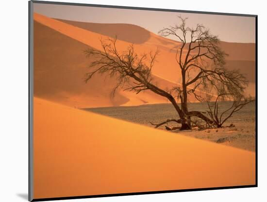 Tree in Namibia Desert, Namibia, Africa-Walter Bibikow-Mounted Photographic Print