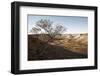 Tree in scenery with Coober Pedy, outback Australia-Rasmus Kaessmann-Framed Photographic Print