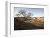 Tree in scenery with Coober Pedy, outback Australia-Rasmus Kaessmann-Framed Photographic Print