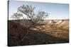 Tree in scenery with Coober Pedy, outback Australia-Rasmus Kaessmann-Stretched Canvas