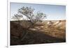 Tree in scenery with Coober Pedy, outback Australia-Rasmus Kaessmann-Framed Photographic Print