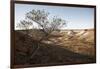 Tree in scenery with Coober Pedy, outback Australia-Rasmus Kaessmann-Framed Photographic Print